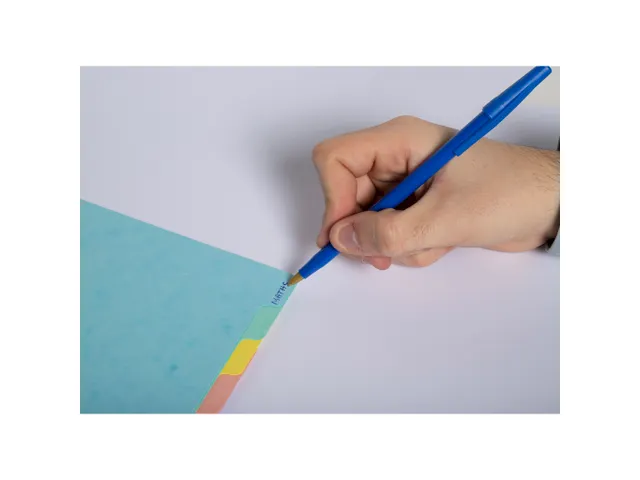 Tabblad In Glanskarton 400G/M2 Aquarel 12 Verdelingen A4 Assorti