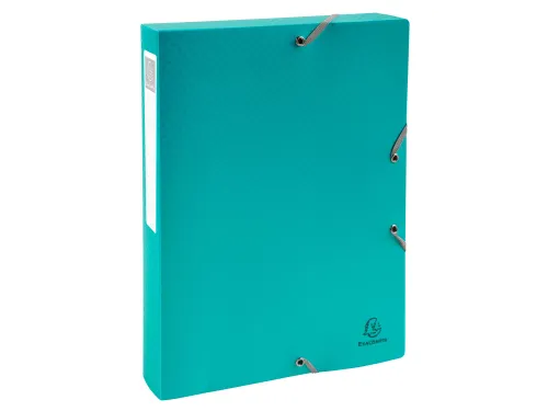 Klasseerdoos rug 40m m PP Forever Young