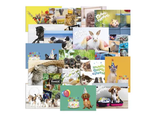 Beloningsposter-kaart De Stulp thema dieren A4 assorti