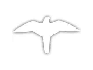 sticker,Valk,PVC,wit,zelfklevend,HxB 139x259mm - 1