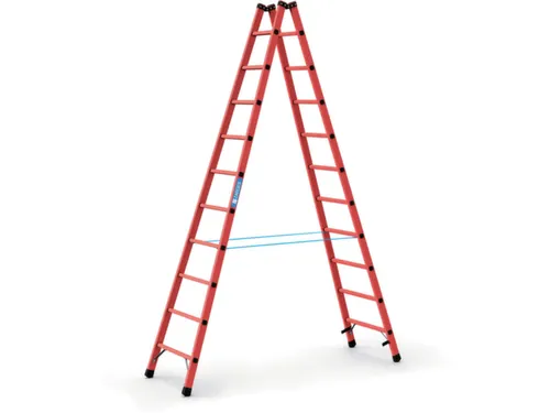 Ladder Met Sporten Bomen/sporten Glasvezel Boom L 3 00M 2X10Sporten
