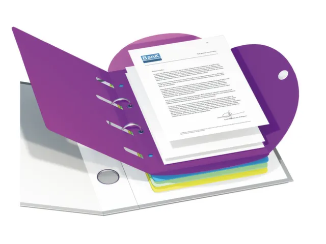 ringmap-set,1ringmap,6mappen,DIN A4,doos,op kleur gesorteerd