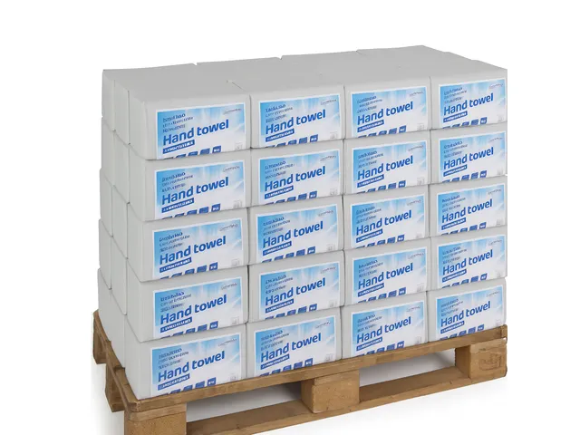 Papieren Handdoek Z-vouw 2-Laags 24x21cm 20x160 stuks Pallet