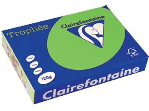 Trophée Intens Gekleurd Papier A4 120 gram 250vel Grasgroen