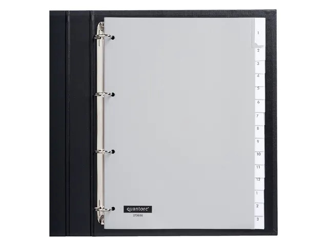 Tabbladen Quantore A4 4-Gaats 15-Delig Met Venster Onbedrukt Grijs Pp