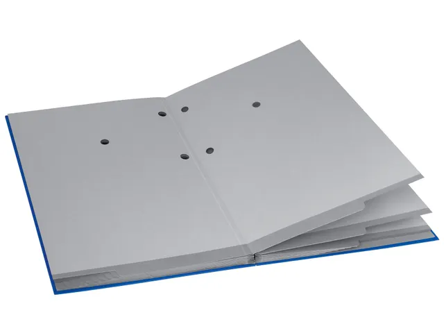 Vloeiboek Esselte 6210 karton 20 vakken blauw