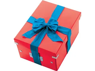 WOW opbergdoos Click & Store ft M rood - 4