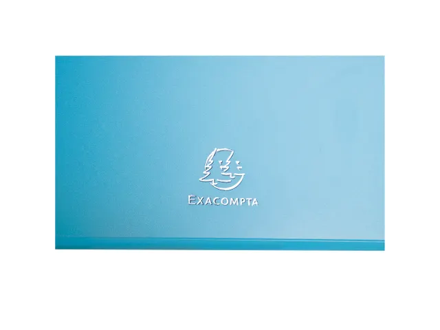 Boite de classement Exabox Dos 25mm Polypropylène 7/10e Chromaline pa