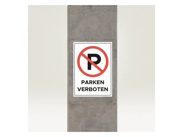 Avery Zweckform L7877 Sterk klevende etiketten A4 210x297mm 20 stuks