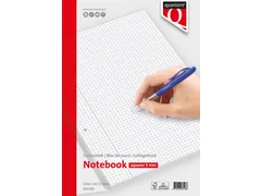 Cursusblok Quantore A4 ruit 5mm 100vel 80gram met kantlijn+