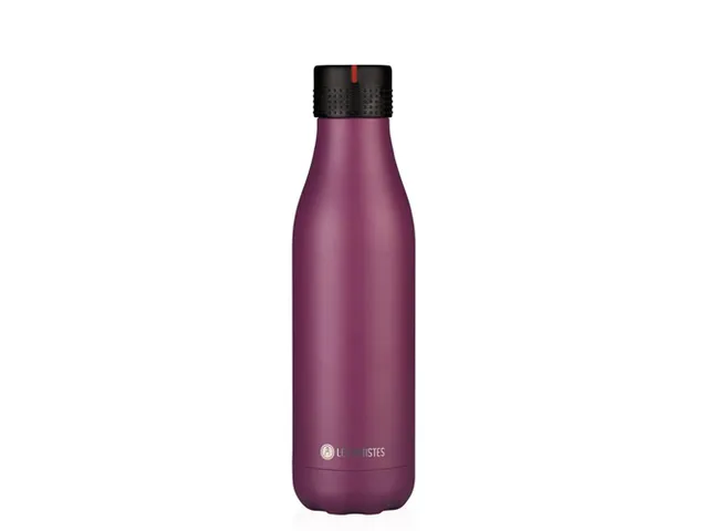 Thermosfles Les Artistes Paris 500ml Raspberry