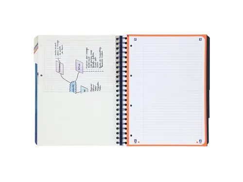 Projectboek Oxford Scribzee A4+ 4r Lijn 120vel Blauw