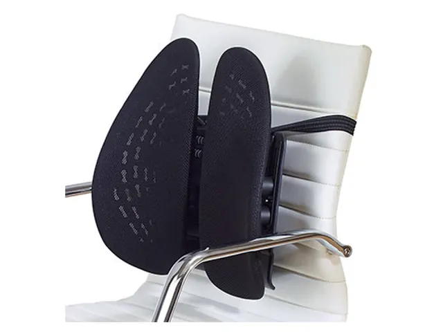 Rugsteun Kensington smartfit zwart