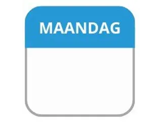 LabelLORD PL Dagetiket Maandag 25x25mm Blauw Flushlabel 1000 stuks - 1