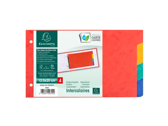 Tabblad recycl.karto n 225g 125x200 4tabs