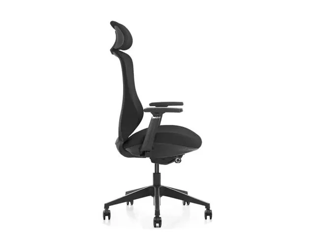 Chaise de bureau ergonomique NEN-EN 1335 Noir Dos maille Repose-tête