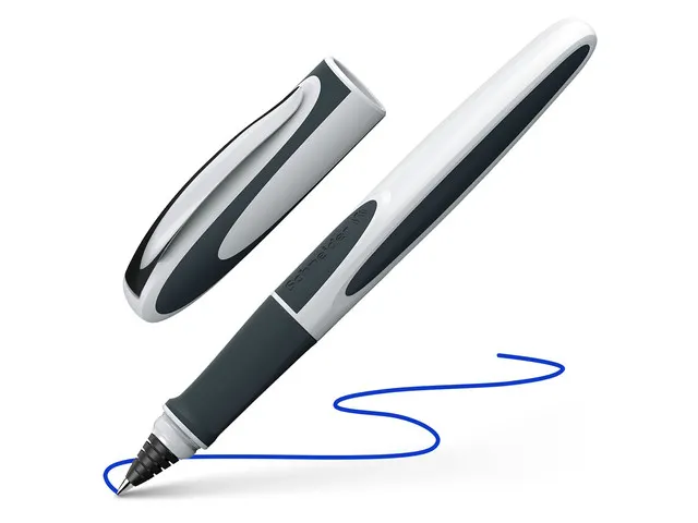 Rollerbalpen Schneider Ray grijs/wit