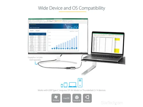 USB C naar DisplayPort Adapter - 8K/4K 60Hz USB-C naar DisplayPort 1.4