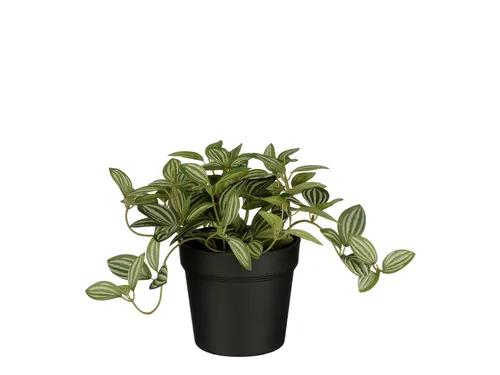 Kunstplant Mica Tradescantia in pot 16x16cm