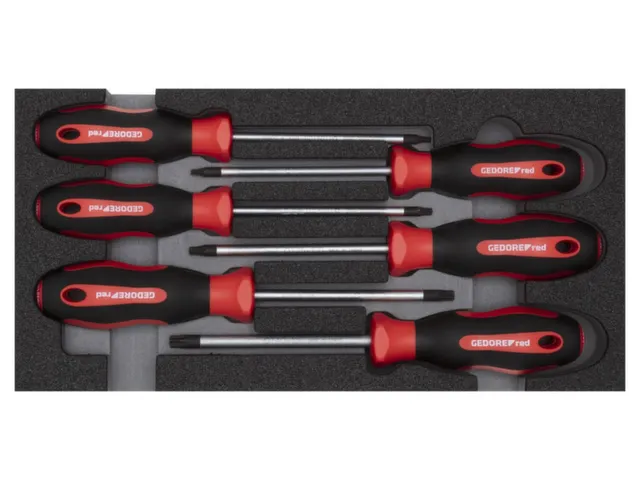 R22150015 Schroevendraaierset TX 2/6 CT-module 6-delig