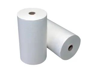 Handdoekrol 350240 nonwoven Dudley 1-Laags 6 Rol - 1
