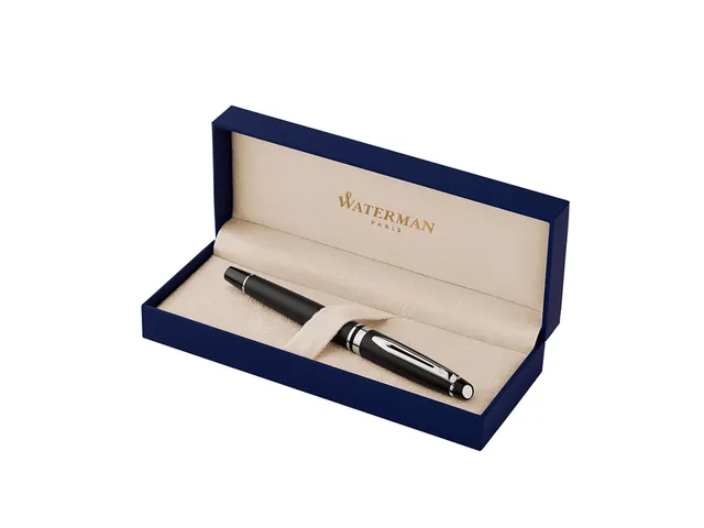 Roller Waterman Expert Noir Mat CT pointe fine