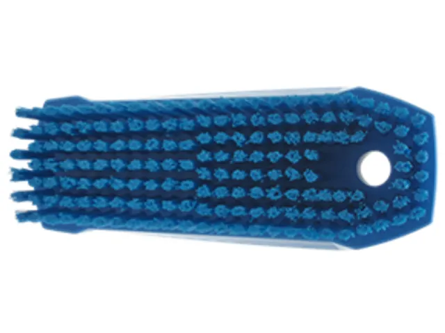 Nagelborstel Blauw