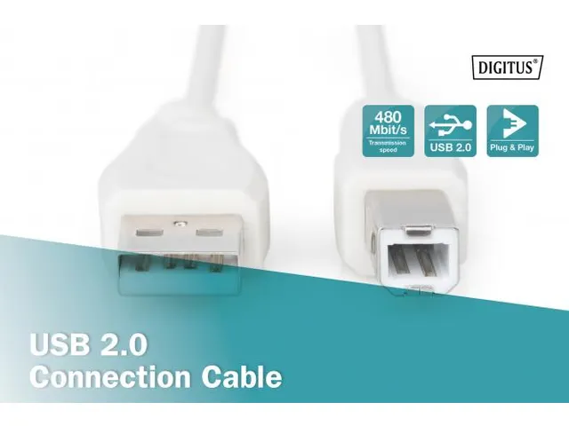 USB-aansluitkabel type A-B mannelijk/mannelijk 3m USB 2.0 compatibel