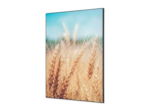 Wanddecoratie Textiel Set A1 Graanveld