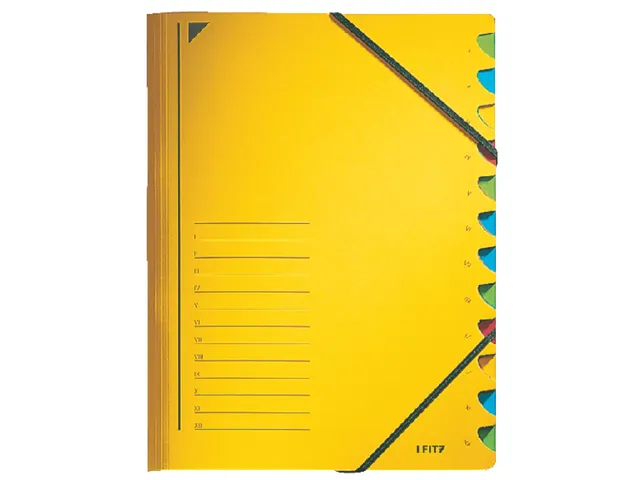 Sorteermap Leitz 3912 A4 12 vaks karton geel
