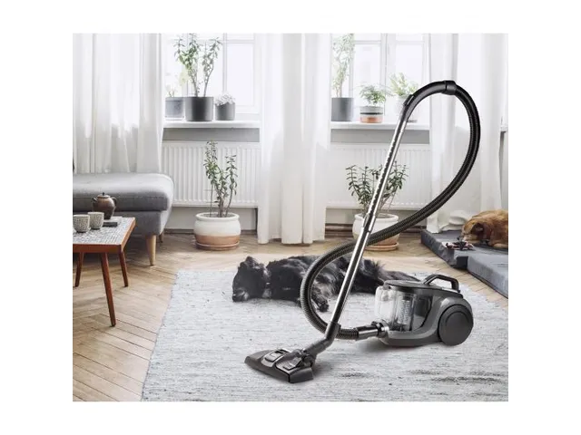 Stofzuiger zonder zak Cycloon XL 2.5 Liter Grijs 850W