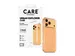 PanzerGlass CARE by Urban Explorer Case Transparent iPhone 17 Pr
