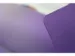 Elastomap Kangaro A4 PP transparant paars
