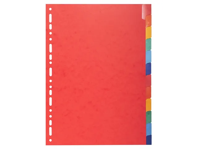Tabbladen glanskarton 225g met versterkte tabs 12-delig A4 Assorti