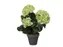 Kunstplant Mica Hortensia in pot groen 35x40cm