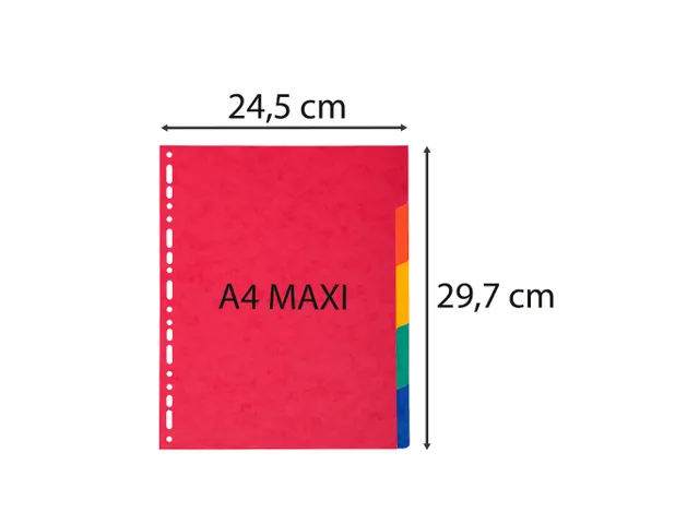 Tabblad glanskarton 225g 5-delig A4 maxi Assorti
