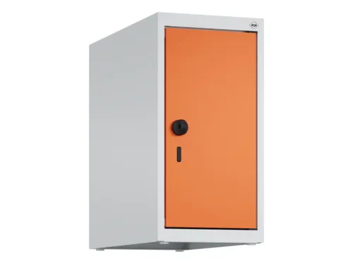 opzetkast,v. locker,1vak.,vak B 250mm,HxBxD 500x250x500mm,vleugeldeur