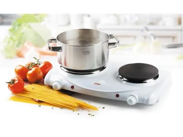 Elektrische Kookplaat 2 Pits 6 Standen 1000-1500W Wit