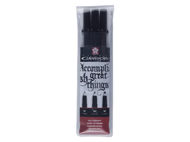 Set calligraphie Sakura Pigma 3 largeurs noir