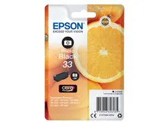 Inktcartridge Epson 33 T3341 foto zwart C13T33414012