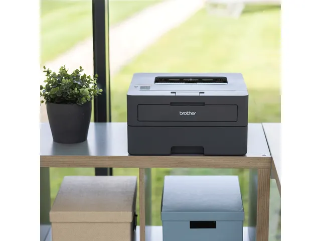 Printer Laser Brother HL-L2445DW