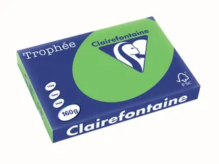 Trophée Intens gekleurd papier A3 160 gram 250vel Grasgroen - 1