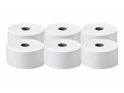 Toiletpapier Maxi Jumbo 2-Laags Eco Cellulose 6 Rol