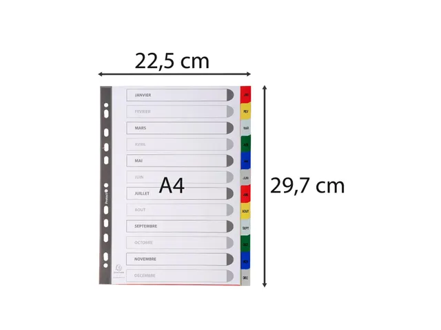 Bedrukte Tabbladen A4 12-delig Jan-dec 11-gaats Frans Assorti