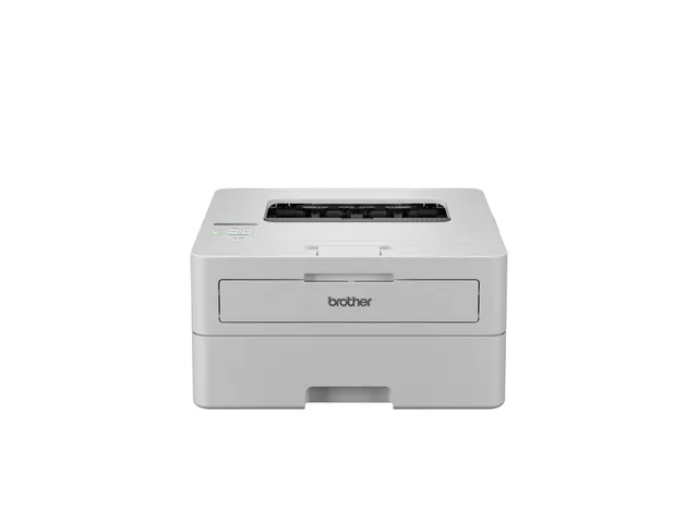 Printer Laser Brother HL-L2865DW