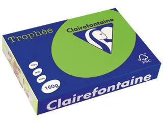 Trophée Intens gekleurd papier A4 160 gram 250vel Grasgroen - 2