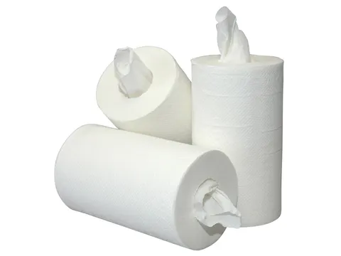 Poetsrol Blanco Mini 2-Laags zonder koker 20cmx60m 12rol