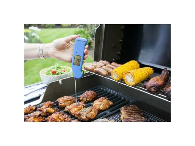 ETI Thermapen ONE Blauw -49,9 tot 299,9 °C kernthermometer