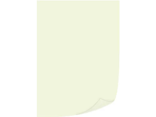 gekleurd kopieerpapier A4 80 gram Gems pak van 500vel