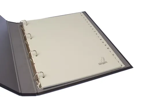 Tabblad ECO Kangaro A4 letters 180 grams grijs karton 4-gaats 20-delig